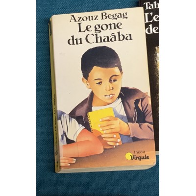 Le Gone de Chaâba De Azouz Begag