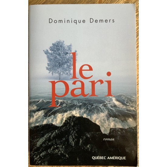 Le pari De Dominique Demers